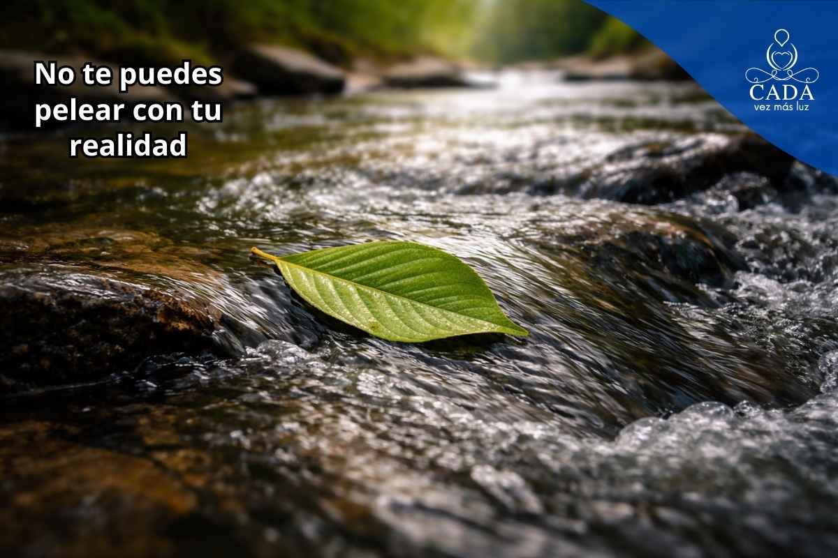 antonio david martinez vessi