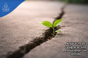 antonio david martinez vessi