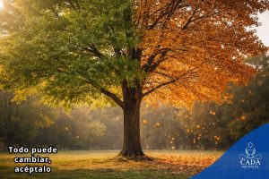 antonio david martinez vessi