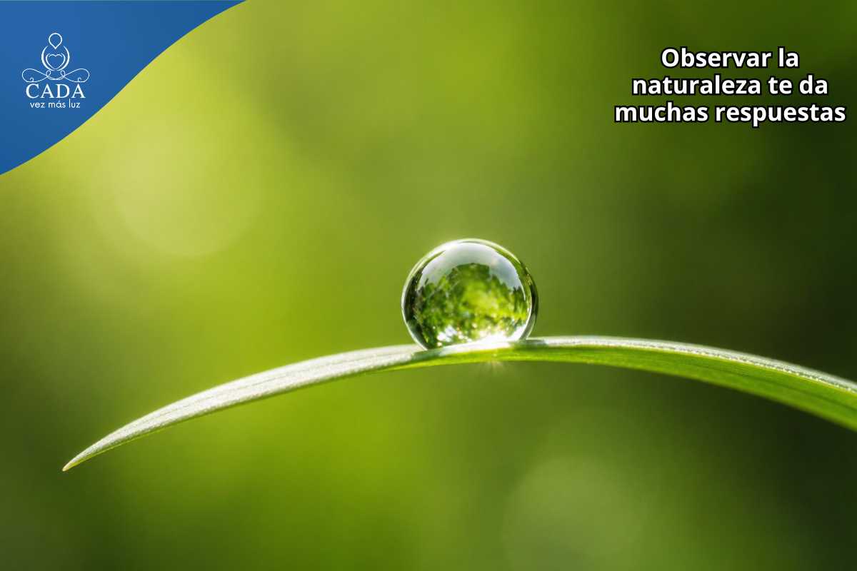 antonio david martinez vessi